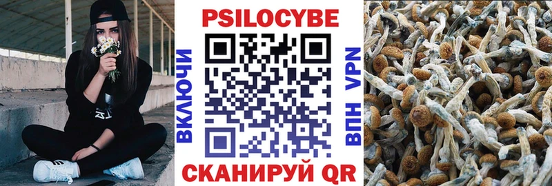 Псилоцибиновые грибы ЛСД  где продают   KRAKEN зеркало  Гай 