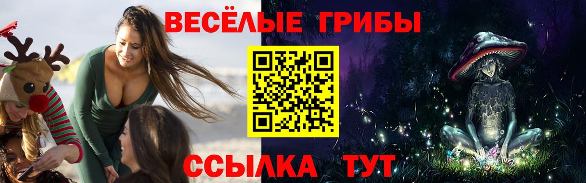 Псилоцибиновые грибы мицелий  Вход с VPN  Гай 